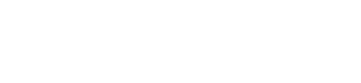 Visman logo